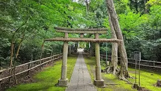 Live Tokyo Suburban Weekend Walk - Cute Streets and Moody Shrines in Kitami