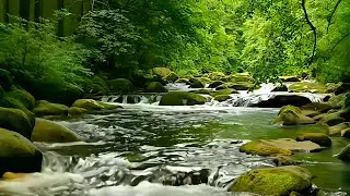 Forest River Sounds 🌿💧 | Instant Sleep, Deep Relaxation & Stress Relief