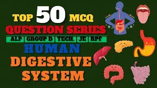 Digestive System MCQ | 50 Most Important Science Questions for Railway & Govt Exams