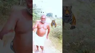 RRR ntr  Komaram Bheem tiger chasing fight spoof 😂😂#entertainment #funny #rrr #viral