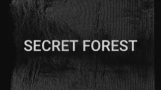 SECRET FOREST - ILIYADMZ (OFFICAL AUDIO)