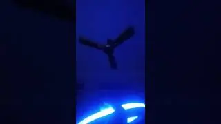 The Ceiling Fan Loop