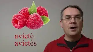 LITHUANIAN LESSON 95 - VAISIAI (1) - Fruits