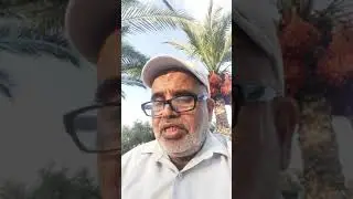 (المكتبات العامة والخاصة والأكاديمية والمشافي)