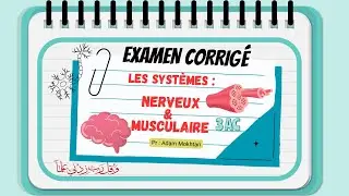 Contrôle 1 - semestre 2 (3AC) avec la correction 🔥