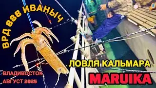 МАРУИКА | Ловля кальмара во Владивостоке 2025