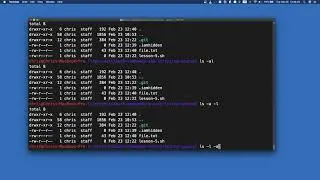 Bash From Beginner to Expert - Lesson 6 - Bash Commands Part 3 - Flags and man