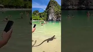 #freedom #digitalnomad #nomadedigital #liberdade #dinheiroonline #euvoceseela #Thailand #phuket