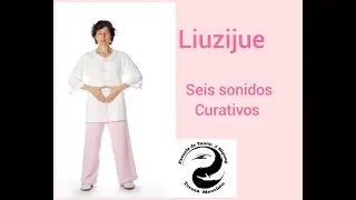 Liuzijue I Seis sonidos curativos I Qigong para la salud