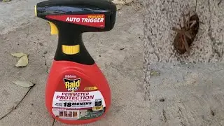 Raid Max Cockroach Perimeter Protectoin Spray Auto Trigger works good.