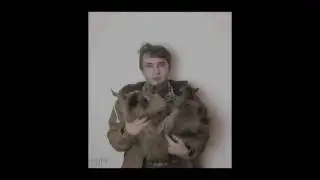 Cats and Dogs Funny Videos