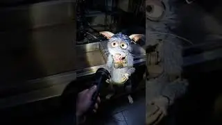 There is a mouse stuck in the room .🪤