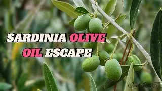 Olive Mill Tour with Olive Oil Tasting in Sassari | Things to do around Sassari