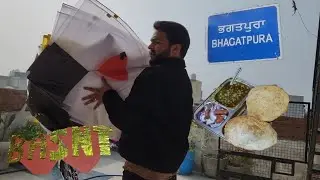 Basant Panchami Celebration || Punjab Phagwara 2025