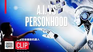 Will AI Really Take Over? Experts Debate the Future of Personhood