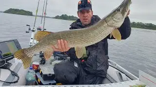 Big pike on lough ree