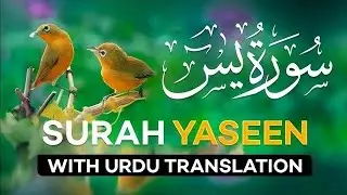 Surah Yasin Full with Urdu Translation | Quran Recitation | Quran with Urdu & Hindi Tarjama | EP-060