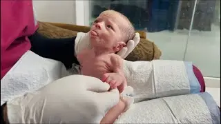 Обновление за 6-й день: Состояние крошечного новорожденного стабильное 🍼 Нежные объятия и кормлен...