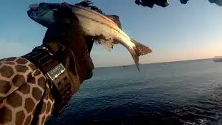 Ultralight casting di Tepi Pantai | 11 tahun silam #Landbasecasting