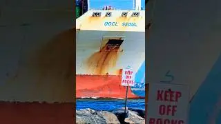 OOCL ON THE ROCKS:😲#containership #ships #ship #cargoship #omg#bulkcarrier #wow#roughseas#epic