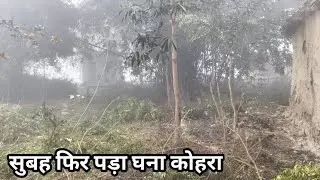 आज फिर पड़ा घना कोहरा