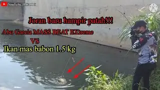 Abu Garcia MASS BEAT EXtreme vs ikan mas babon 1.5 kg