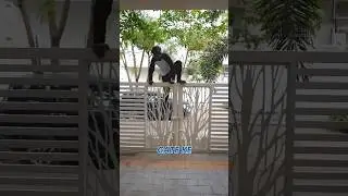 CCTV PE CHOR🤯😱||#cctv #technology #gadgets #cctv #camera