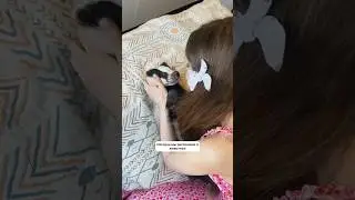 Накипело!