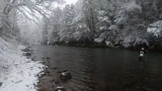 My First PENNS CREEK Rodeo! Fly Fishing ULTRA CLEAR Water For Brown Trout In BIG WINTER SNOWSTORM!