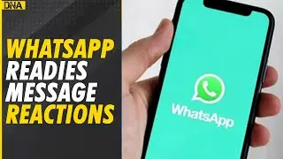 WhatsApp working on message reactions for iOS and Android | DNANews