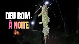 Começou fraca… mas a noite trouxe os peixes bons