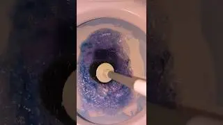 ASMR- Toilet Scrub ✨ #asmr #visualtingle #asmrcleaning #cleaning #cleaningsounds #satisfying