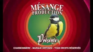 Les mésanges, épisode n°2