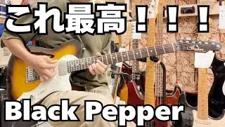 【funk ojisan】FREEDOM CUSTOM GUITAR RESEARCH Black Pepper 2008年製