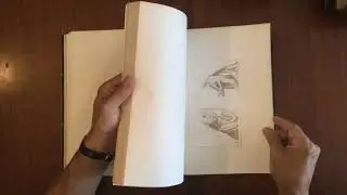 Leonardo da Vinci 1811 Milano Italy Ignazio Fumagalli 52 engravings Renaissance art works Italia