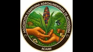 PLAN VIDA TECAM MONIQUIRÁ.