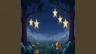 Forest of Haven