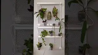 Ikea Plant Wall
