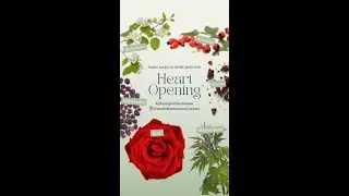 Plant Allies for Heart Opening | Plant Spirit Herbalism | The Plant Spirit Channel