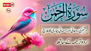 Surah Ar Rahman Urdu Translation | Qari Abdul Basit Samad Forgiveness Tilawat | Ep 00187