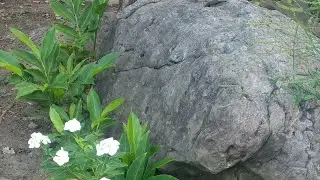 Las piedras que adornan de manera natural