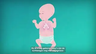 6   How do our lungs work  Dutch