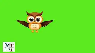 Flying Owl | Animated Cartoon Character | Green Screen | No Copyright | Kids Stories The