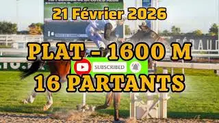 PMU QUINT&Eacute; DU SAMEDI 21 FEVRIER 2026 - &Agrave; CAGNE SUR MER - R&Eacute;UNION 1 COURCE 4