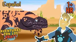 Monstruos de Gila y otras criaturas del desierto | Episodios completos | Aventuras con los Kratt