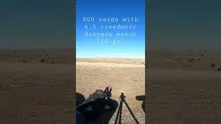 800 yards with 6.5 creedmoor Hornady match 140 gr.