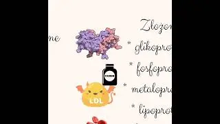 4. Biologiczne znacznie peptyd&oacute;w i białek. Biologia do matury 🦠🍳