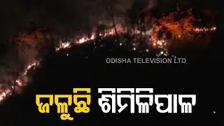 Fire Breaks Out In Mayurbhanj's Similipal