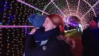 Windsor Great Park Illuminated