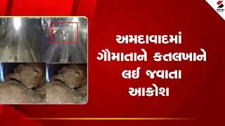 Ahmedabad | અમદાવાદમાં ગૌમાતાને કતલખાને લઈ જવાતા આક્રોશ | Protest | Gujarat
